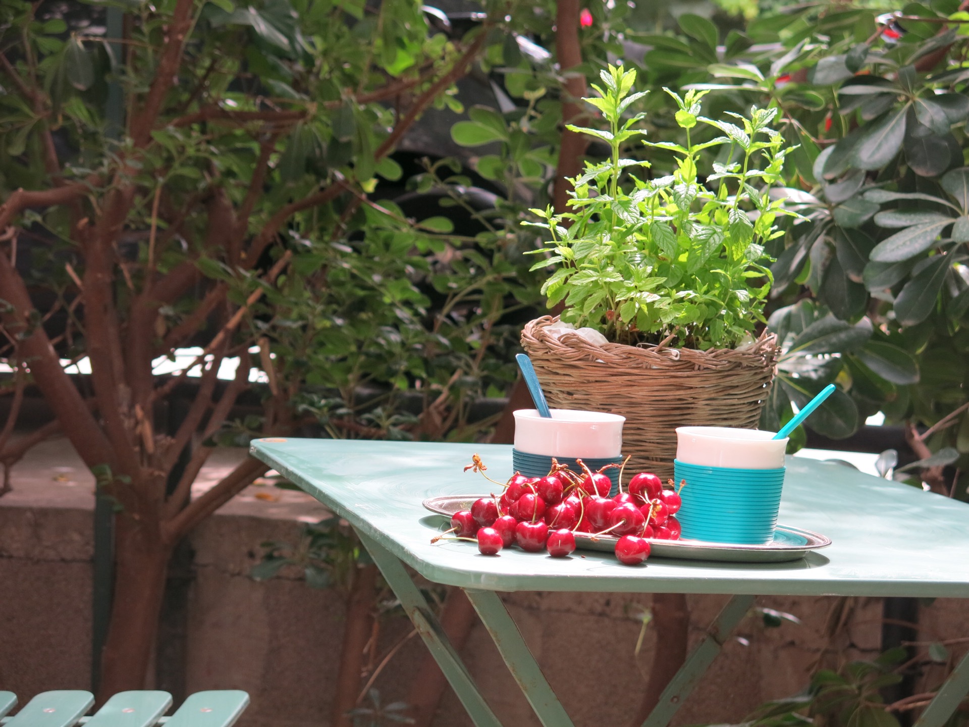 Giardino interno con tavolino e piante mediterranee